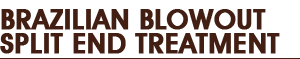 Brazilian Blowout Split End Treatment